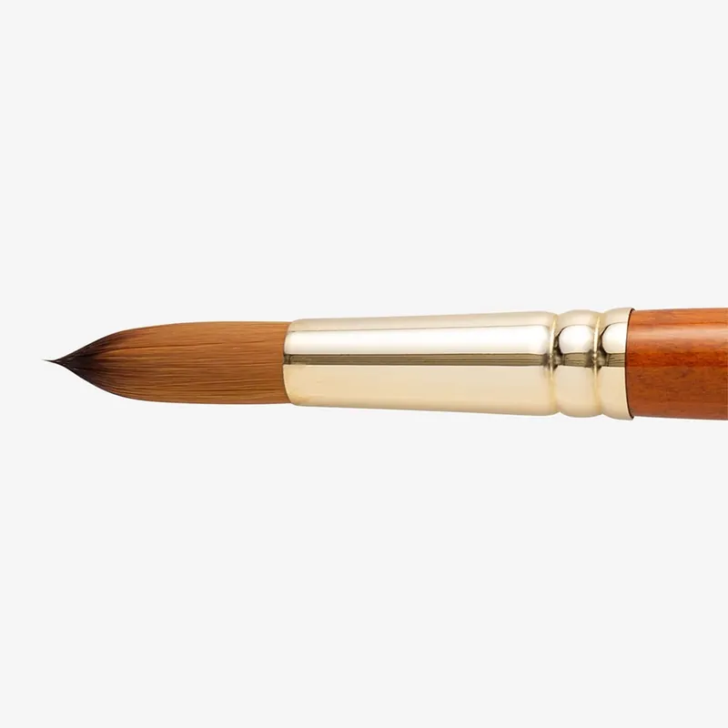 Dernière Chance Pro Arte Prolene Plus Série 007 Rond Taille 20