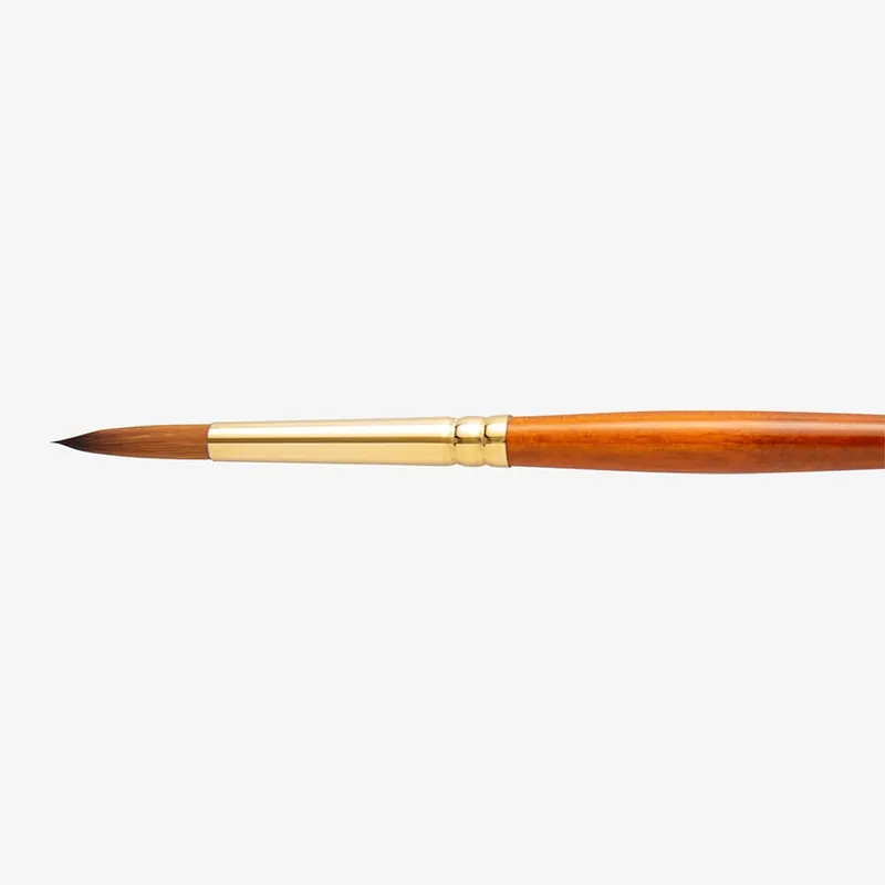 Pro Arte Prolene Plus série 007 ronde taille 8 Vente Directe